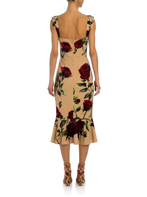 dolce gabbana dress rosa|ornament rose midi dress.